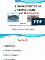 Growth and feed efficiency of two tilapia species (O. aureas and O. hornorum