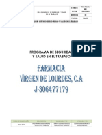 Programa de Seguridad Lourdes I