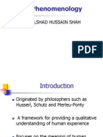 Phenomenology: Dilshad Hussain Shah