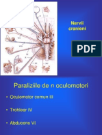 8 Curs Nervi Cranieni Migrena