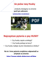 husky-szkolenie-psów.pdf