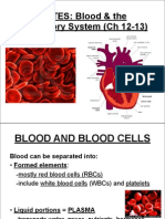 Blood Circ System Note