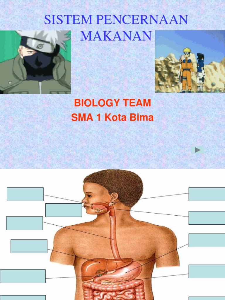 1 Materi Sistem Pencernaan