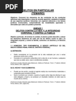 Guia de Delitos en Particular
