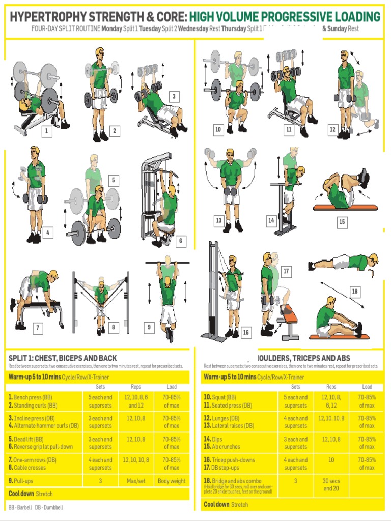 Springboks Hypertrophy Workout Plan | PDF | Physical Exercise ...