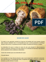 Secado del Cacao =)