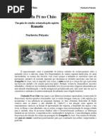 Umbanda pé no chão - Ramatis.pdf