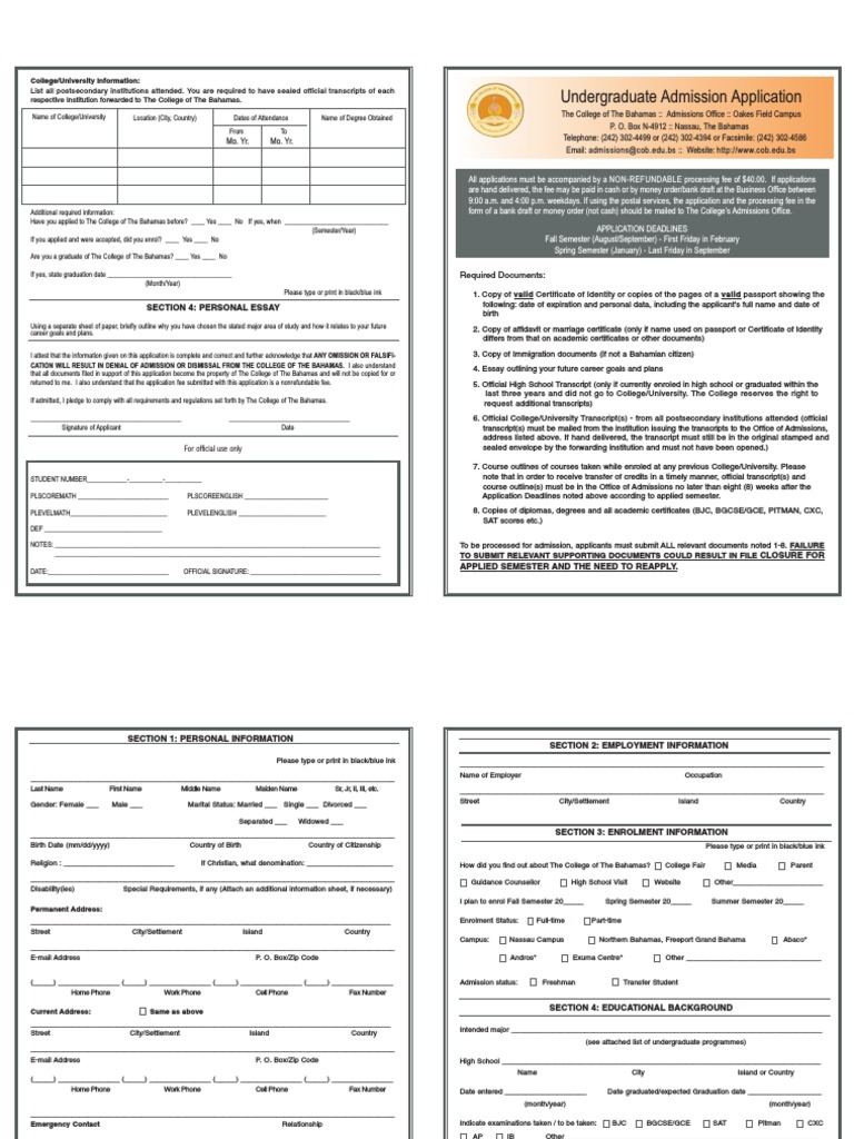 UNDERGRADUATE UNIVERSITY APPLICATION visual data 4