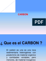 Muestreo Carbon S
