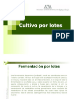 Cultivo Lote