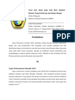 SLE Systemic Lupus Erithromatosus