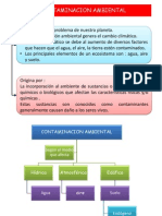 2° CONTAMINACIÓN AMBIENTAL