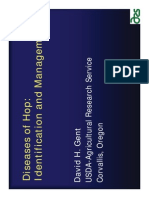 Hops-Diseases of Hops_ Identification and Management