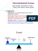 Levers in Musculoskeletal System