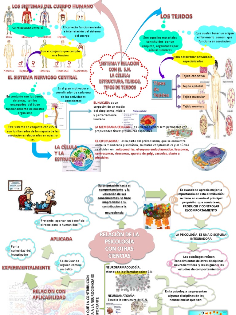 MAPA MENTAL Psicologia Citoplasma Ciencias de la