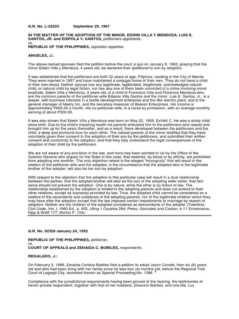 Adoption essay topics picture