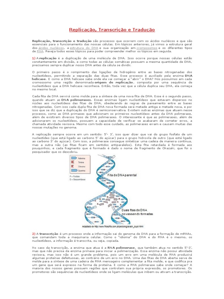 Replicaçao, Transcriçao e Traducao | PDF | Replicação de DNA | DNA