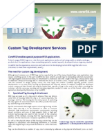 014 Custom Tag Development Fact Sheet