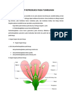 Konsep Reproduksi Pada Tumbuhan