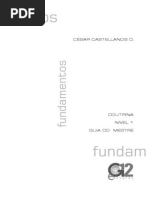 1 Doutrina 1 Fundamentos