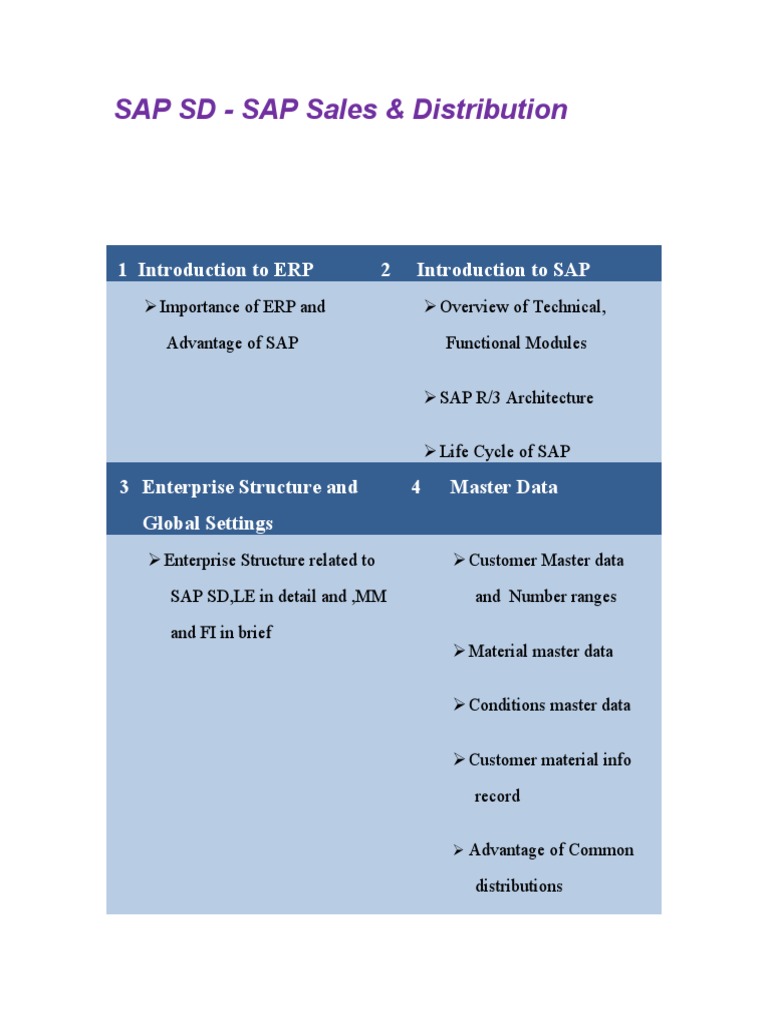 SAP SD Overview and Key Topics | PDF | Enterprise Resource Planning ...