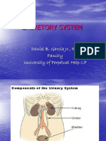 Excretory System: Daniel B. Garcia JR., RN Faculty University of Perpetual Help-LP