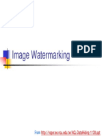 1 CSSV Image Watermarking