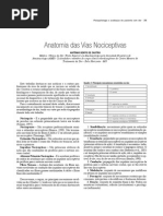 Anatomia Das Vias Nociceptivas