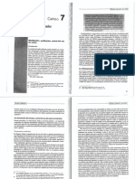 Derecho Ambiental 8.pdf