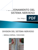 Neup-h01_funcionamiento Del Sistema Nervioso 1