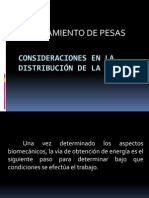 Consideraciones en La Distribución de La Carga (1)