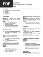 RESUMO ORGANELAS CITOPLASMÁTICAS