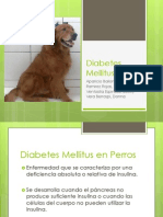 Diabetes Mellitus