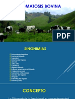 Distomatosis Bovina