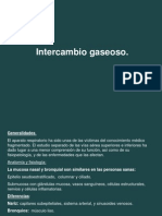 FISIOIntercambio_gaseoso (1)