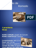 Apresentação  Dragão de  Komodo