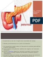 PANCREAS22