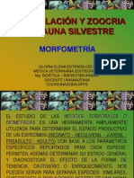 7.Fauna Silvestre - Morfometría