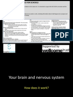 Presentation 1 How Your Brain and Nervous System Works