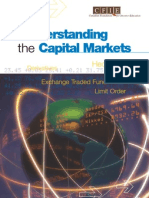 Understanding Capital Markets