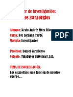 Paper de Investigación