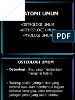 ANATOMY OVERVIEW