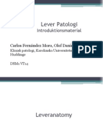 01 Leverpatologi Intromaterial Olof Danielsson