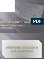 Anatomia Aplicada a Las Anestesias