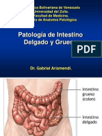 2013 Patología de Intestino Delgado y Grueso