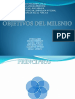 Diapositivas Del Milenio Salud Publica