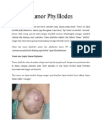 134058625 Piloides Tumor