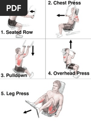 The big online 5 workout