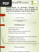 Apresentação de Forragicultura - Estabelecimento de Brachiaria Brizantha Cv. Marandu Sob Duas Fontes e Doses de Fósforo Na Região de Paragominas, Estado Do Pará, Brasil