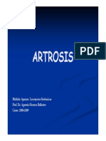 Artrosis 100928224828 Phpapp02